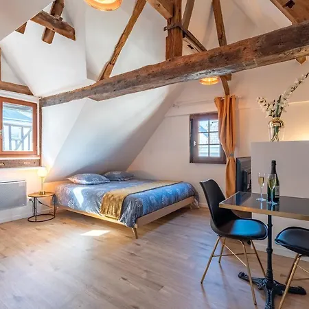 Centre-ville Le Nid D'amour Jacuzzi * Rouen