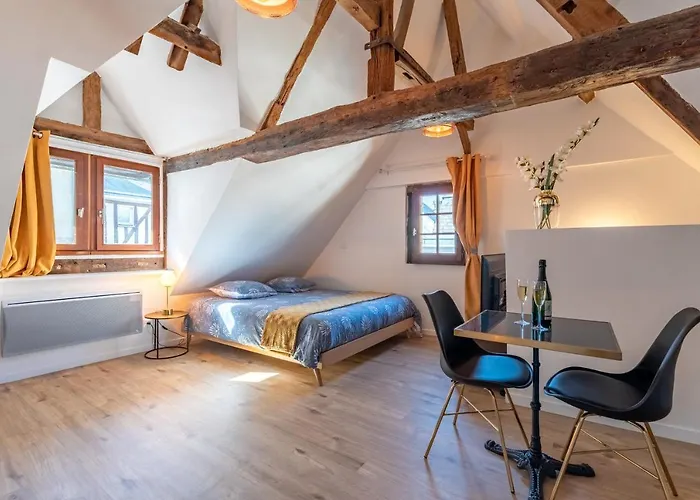 Centre-ville Le Nid D'amour Jacuzzi * Rouen